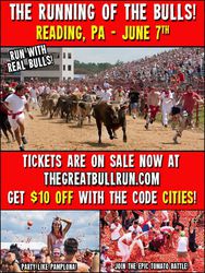 The Great Bull Run