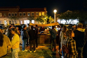 THE FIRST VEGAN NIGHT MARKET OF 2024