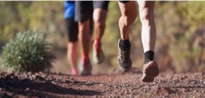 Introduction to Desert Trail Running – Cienega Creek Preserve