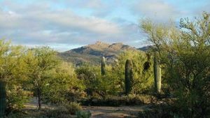Tortolita Preserve Nature Trek