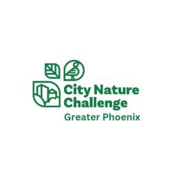 Greater Phoenix City Nature Challenge BioBlitz