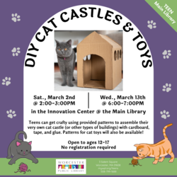 Teen Craft: DIY Cat Castles & Cat Toys