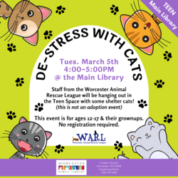 De-Stress with Cats from the Worcester Animal Rescue League