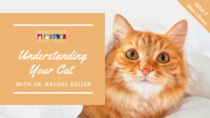 Understanding Your Cat with Dr. Rachel Geller