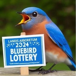 Bluebird Lottery