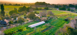 Free Guided Tour of the UCSC Farm