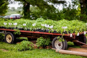 Rodale Spring Organic Market & Plant Sale