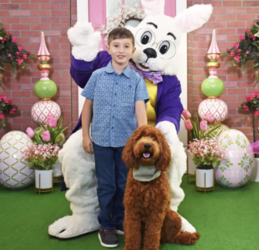 Easter Bunny’s Garden - Mid Rivers Mall