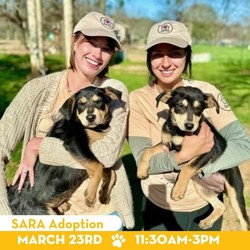 National Puppy Day: SARA Adoption Event