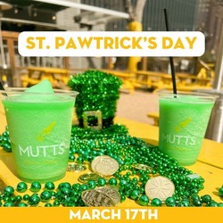 St. Pawtricks Day