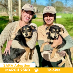 Mutt’s Canine Cantina, SARA Sanctuary Team Up for Dog Adoption Event