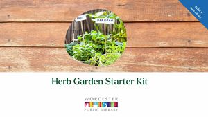 Herb Starter Garden