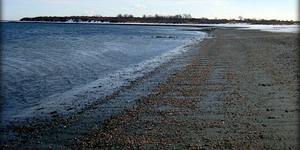 Sightlines Lecture Series: Sedimental with Norman Bird Sanctuary Artist-in-Residence, Nina Elder