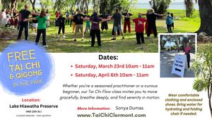 Tai Chi in the Park