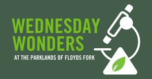 Wednesday Wonders at The Parklands of Floyds Fork