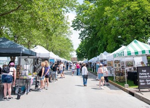 53rd Annual Duveneck Art Show