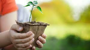 Kids Time: Plant Science