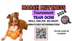 Oneida County Humane Society March Muttness 2024