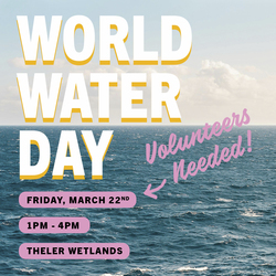 World Water Day!
