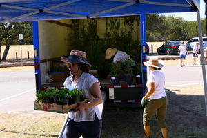 HCMGA 2024 Spring Plant Sale