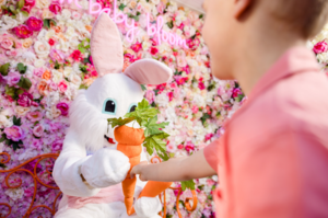 Easter Bunny Photos
