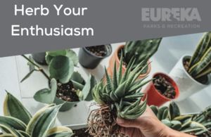 Herb Your Enthusiasm with horticulture expert Jill Thompson