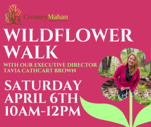 Wildflower Walk with Tavia Cathcart Brown