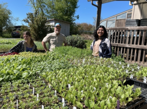 Plant Sale