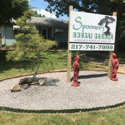 Spooner's Bonsai- sponsored by Mississippi Valley Garden Club