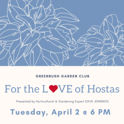 For the Love of Hostas!