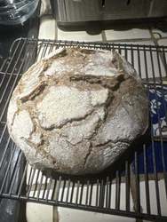 Rustic Fermented Breads with Whole Grains