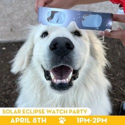 SOLAR ECLIPSE WATCH PARTY