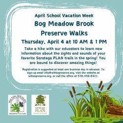 Bog Meadow Preserve Walks