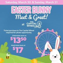 Easter Bunny at The Capital Wheel Easter Weekend