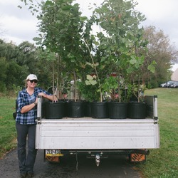 2024 Earth Day Planting at Louise Moore Park