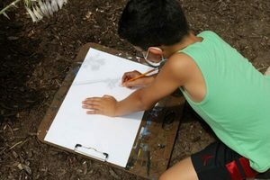 Drawing Fundamentals: Ages 10-13