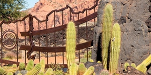 Workshops For Adults – Desert Landscaping with Stephanie Halcrow: (Half-Day Workshop)