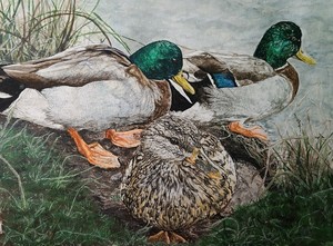 Kettle Creek April Art Show, Deanna Hoffner "Tiny Details"