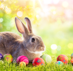 Easter Celebrations- Bungalow Kitchen Tiburon