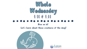 Whale Wednesday