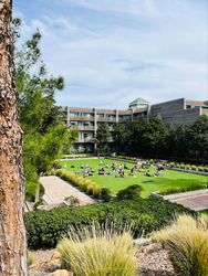 Full Moon Yoga Class at Hyatt Regency Scottsdale