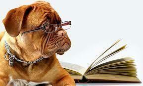 Read to a Therapy Dog