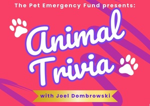Animal Trivia Night to Support the Pet Emergency Fund