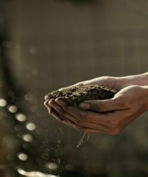 Re-Connecting Soil and Soul: Exploring Your Inner Self and the Outer World