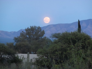 Full Moon Wander @ Canoa Ranch