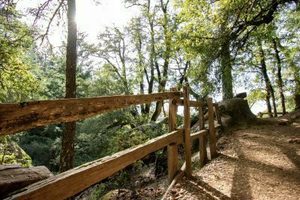 Earth Day Bio Blitz