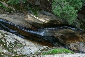 Castle Rock Falls Guided Hike