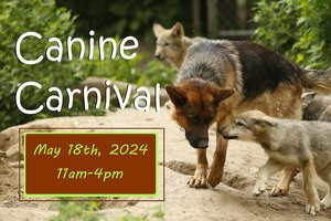 Canine Carnival