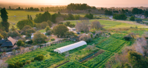 Free Guided Tour of the UCSC Farm