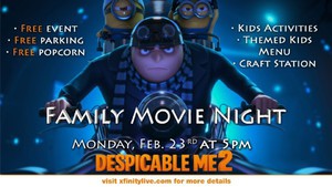 Despicable Me 2 Family Movie Night